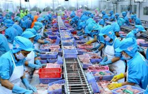 Trung Quốc Vượt Mỹ, Dẫn Đầu Nhập Thủy Sản Việt Nam